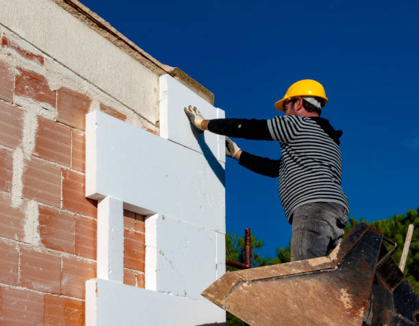 Best Insulation Replacement Services  in Eagle Lake, MN
