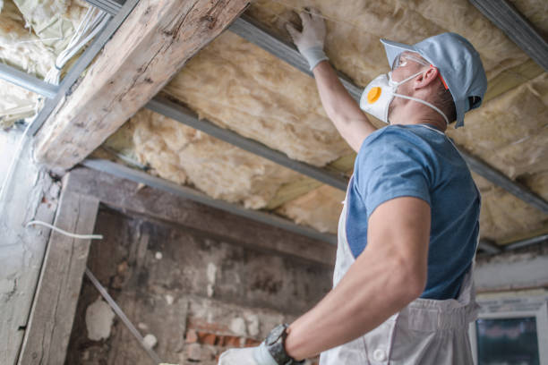 Best Crawl Space Insulation  in Eagle Lake, MN