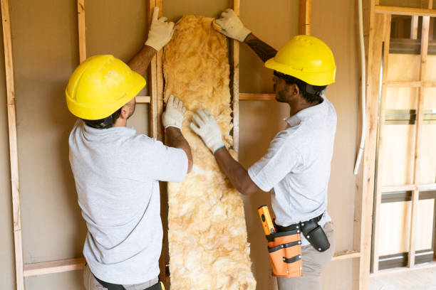 Best Home Insulation Services  in Eagle Lake, MN