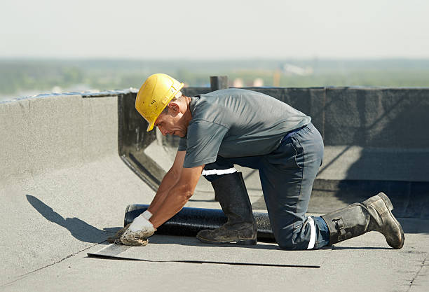 Best Commercial Insulation Contractor  in Eagle Lake, MN