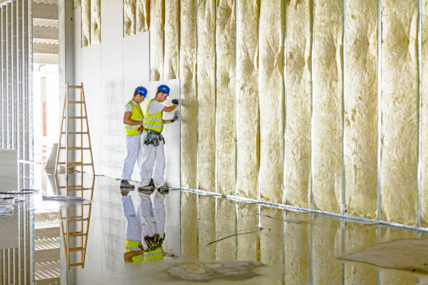 Best Insulation Contractor Near Me  in Eagle Lake, MN